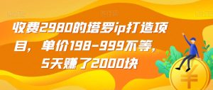 收费2980的塔罗ip打造项目，单价198-999不等，5天赚了2000块【揭秘】-副业资源站