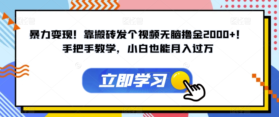 暴力变现！靠搬砖发个视频无脑撸金2000+！手把手教学，小白也能月入过万【揭秘】-副业资源站