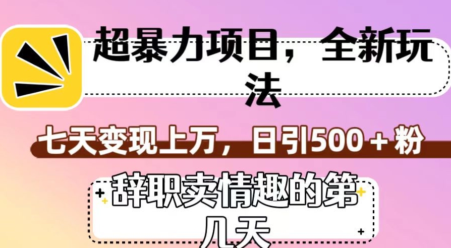 超暴利项目，全新玩法（辞职卖情趣的第几天），七天变现上万，日引500+粉【揭秘】-副业资源站