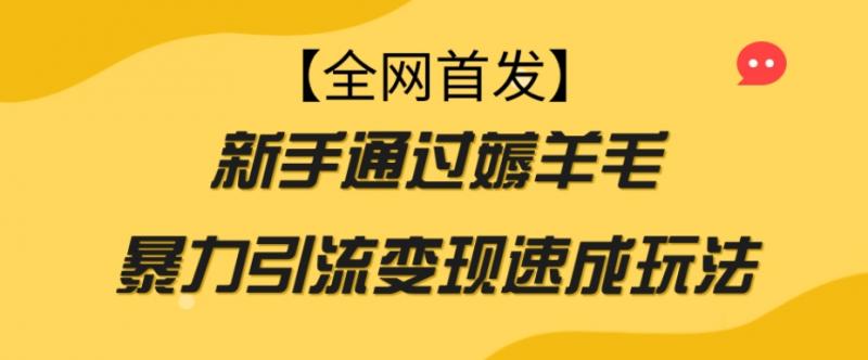 【全网首发】新手通过薅羊毛暴力引流变现速成玩法-副业资源站