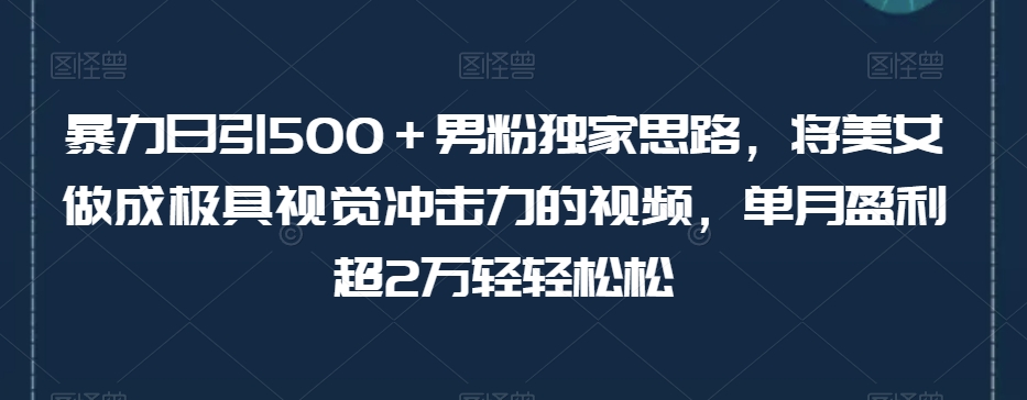 暴力日引500＋男粉独家思路，将美女做成极具视觉冲击力的视频，单月盈利超2万轻轻松松-副业资源站