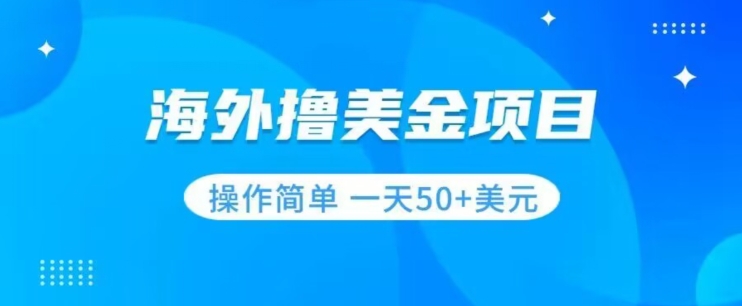 撸美金项目无门槛操作简单小白一天50+美刀-副业资源站