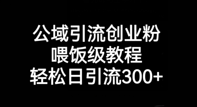 公域引流创业粉，喂饭级教程，轻松日引流300+【揭秘】-副业资源站