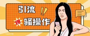 最新引流骚操作，单账号日引50-100，简单粗暴，适合于小白各行各业都可以进行操作，精准粉丝加到爆-副业资源站