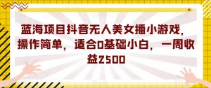 蓝海项目抖音无人美女播小游戏，操作简单，适合0基础小白，一周收益2500【揭秘】-副业资源站