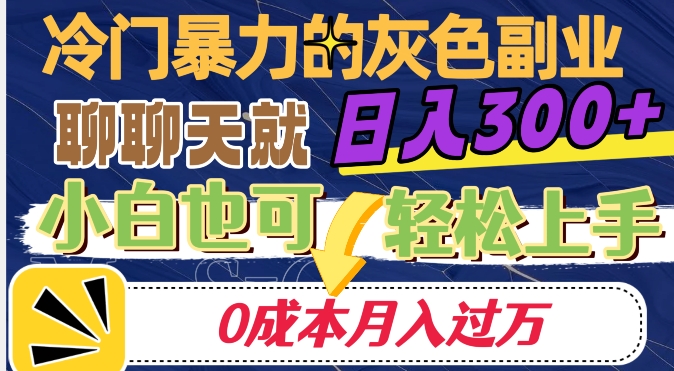 冷门暴利的副业项目，聊聊天就能日入300+，0成本月入过万【揭秘】-副业资源站