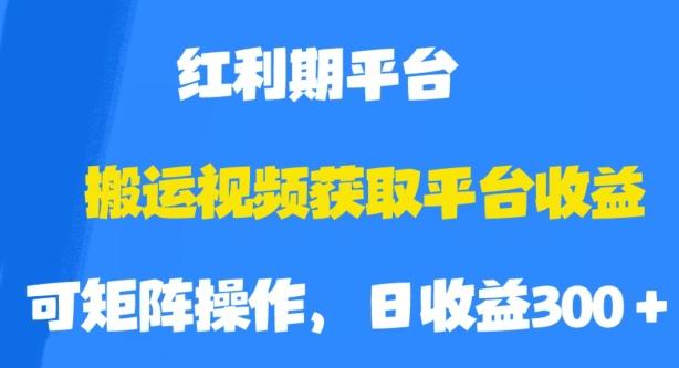 搬运视频获取平台收益，平台红利期，附保姆级教程【揭秘】-副业资源站