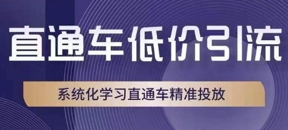 直通车低价引流课，系统化学习直通车精准投放-副业资源站