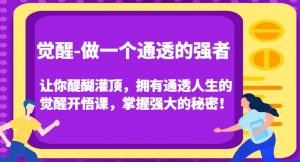 觉醒-做一个通透的强者，让你醍醐灌顶，拥有通透人生的觉醒开悟课，掌握强大的秘密！-副业资源站