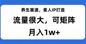 养生赛道,素人IP打造,流量很大,可矩阵,月入1w+【揭秘】-副业资源站