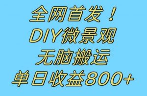 全网首发冷门赛道!DIY微景观,无脑搬运视频,日收益800+【揭秘】-副业资源站