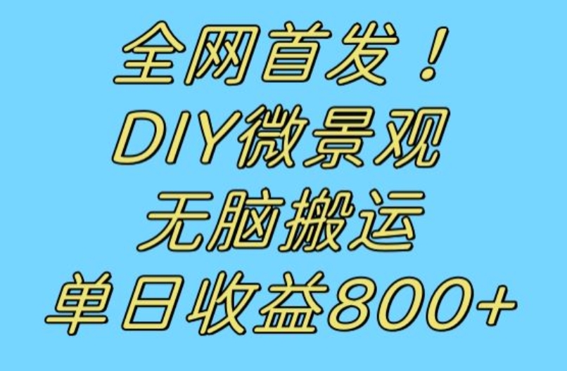 全网首发冷门赛道！DIY微景观，无脑搬运视频，日收益800+【揭秘】-副业资源站