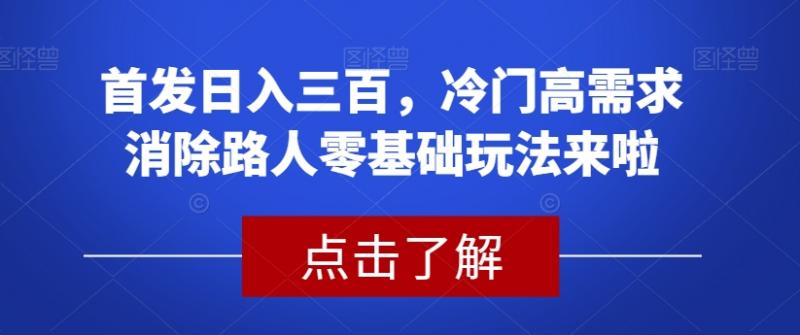 首发日入三百，冷门高需求消除路人零基础玩法来啦【揭秘】-副业资源站