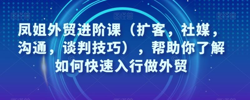 凤姐外贸进阶课（扩客，社媒，沟通，谈判技巧），帮助你了解如何快速入行做外贸-副业资源站