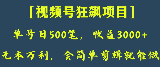 日收款500笔，纯利润3000+，视频号狂飙项目，会简单剪辑就能做【揭秘】-副业资源站