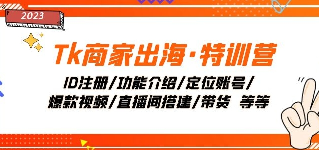 Tk商家出海·特训营：ID注册/功能介绍/定位账号/爆款视频/直播间搭建/带货-副业资源站