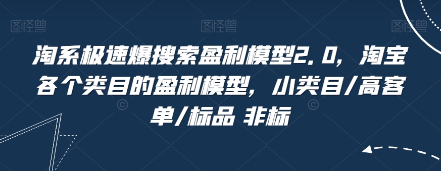 淘系极速爆搜索盈利模型2.0，淘宝各个类目的盈利模型，小类目/高客单/标品 非标-副业资源站