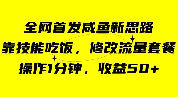 咸鱼冷门新玩法，靠“技能吃饭”，修改流量套餐，操作1分钟，收益50【揭秘】-副业资源站