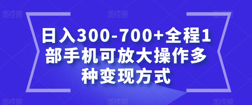 日入300-700+全程1部手机可放大操作多种变现方式【揭秘】-副业资源站