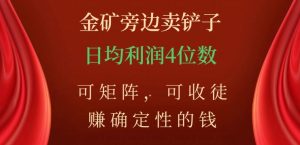 金矿旁边卖铲子，赚确定性的钱，可矩阵，可收徒，日均利润4位数【揭秘】-副业资源站