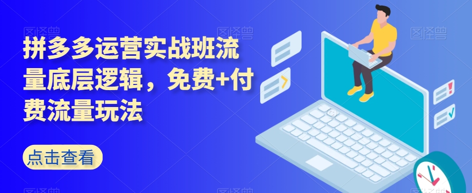 拼多多运营实战班流量底层逻辑，免费+付费流量玩法-副业资源站