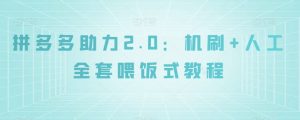 拼多多助力2.0：机刷+人工全套喂饭式教程【揭秘】-副业资源站