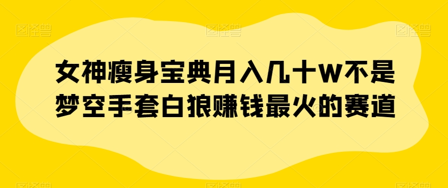 女神瘦身宝典月入几十W不是梦空手套白狼赚钱最火的赛道【揭秘】-副业资源站