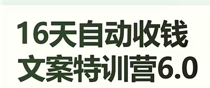 16天自动收钱文案特训营6.0，学会儿每天自动咔咔收钱-副业资源站