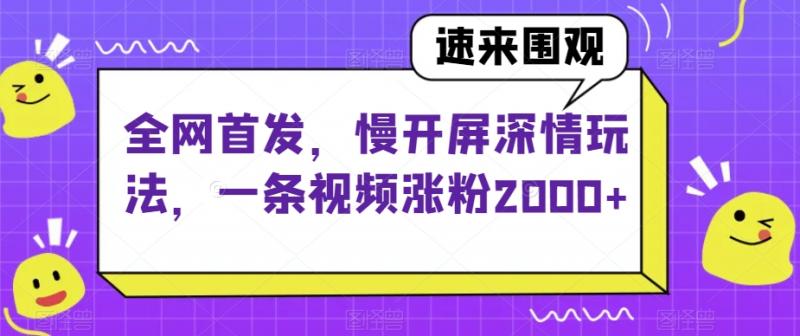 全网首发，慢开屏深情玩法，一条视频涨粉2000+【揭秘】-副业资源站