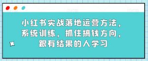 小红书实战落地运营方法，系统训练，抓住搞钱方向，跟有结果的人学习-副业资源站