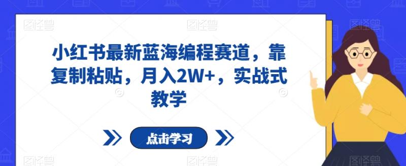 小红书最新蓝海编程赛道，靠复制粘贴，月入2W+，实战式教学【揭秘】-副业资源站