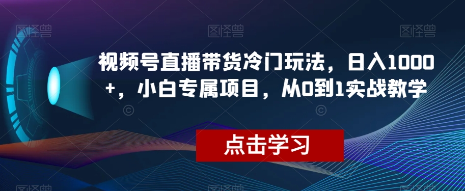 视频号直播带货冷门玩法，日入1000+，小白专属项目，从0到1实战教学【揭秘】-副业资源站