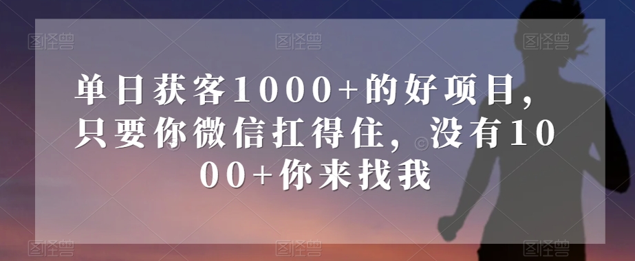 单日获客1000+的好项目，只要你微信扛得住，没有1000+你来找我【揭秘】-副业资源站