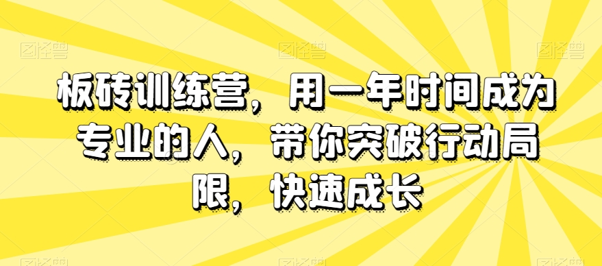 板砖训练营，用一年时间成为专业的人，带你突破行动局限，快速成长-副业资源站