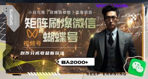 矩阵刷爆微信蝴蝶号创作者分成计划收益的新玩法，日入2000+【揭秘】-副业资源站