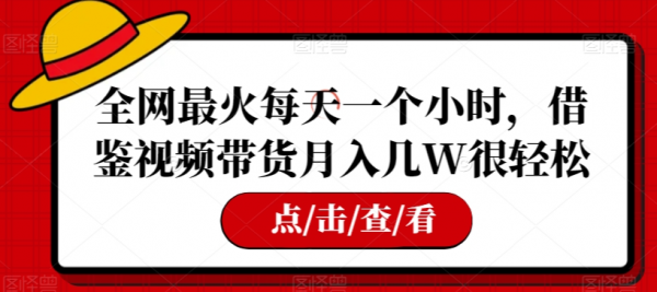 全网最火每天一个小时，借鉴视频带货月入几W很轻松【揭秘】-副业资源站