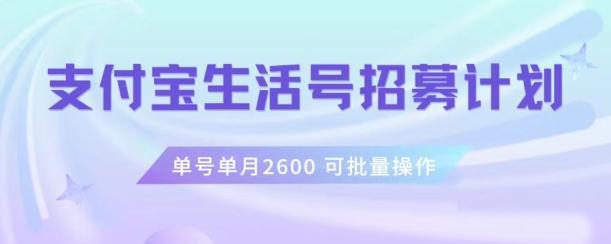 支付宝生活号作者招募计划，单号单月2600，可批量去做，工作室一人一个月轻松1w+【揭秘】-副业资源站