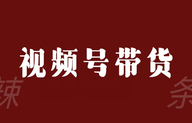 视频号带货联盟，赚信息差的带货钱，只需手机随时随地都可以做！-副业资源站