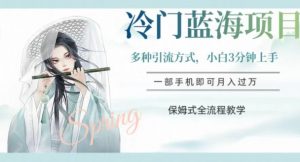 冷门蓝海项目，操作简单，小白3分钟上手，多种引流方式，保姆式全流程教学【揭秘】-副业资源站