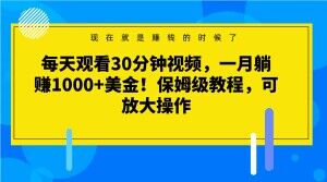 每天观看30分钟视频，一月躺赚1000+美金！保姆级教程，可放大操作【揭秘】-副业资源站