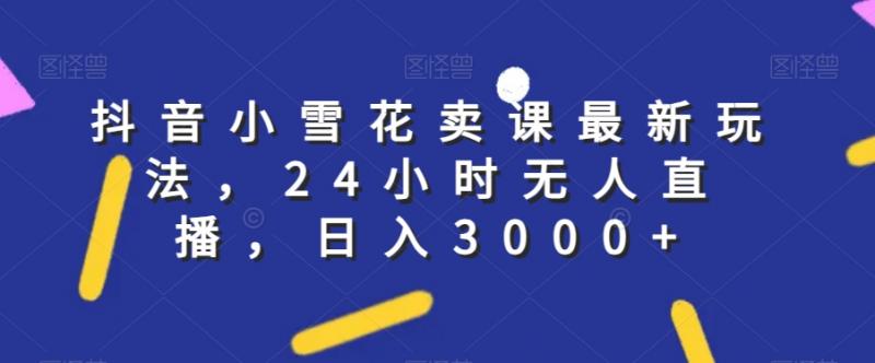 抖音小雪花卖课最新玩法，24小时无人直播，日入3000+【揭秘】-副业资源站