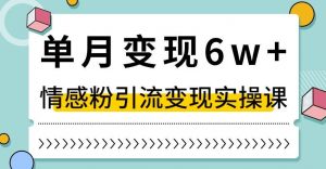 单月变现6W+，抖音情感粉引流变现实操课，小白可做，轻松上手，独家赛道【揭秘】-副业资源站