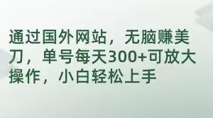 通过国外网站，无脑赚美刀，单号每天300+可放大操作，小白轻松上手【揭秘】-副业资源站