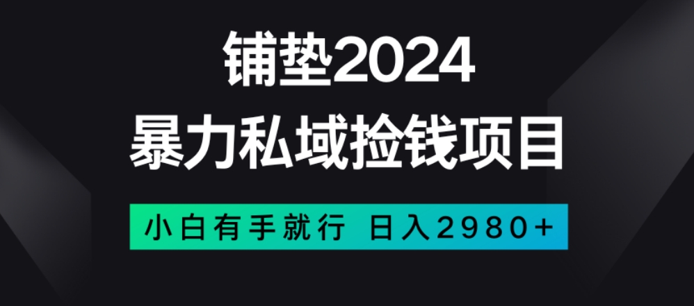 暴力私域捡钱项目，小白无脑操作，日入2980【揭秘】-副业资源站