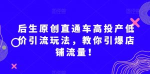 后生原创直通车高投产低价引流玩法，教你引爆店铺流量！-副业资源站