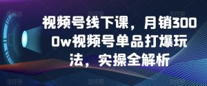 视频号线下课，月销3000w视频号单品打爆玩法，实操全解析-副业资源站