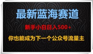 最新蓝海赛道，新手小白日入500+，你也能成为下一个公众号流量主【揭秘】-副业资源站