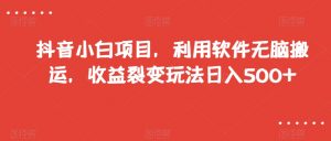 抖音小白项目，利用软件无脑搬运，收益裂变玩法日入500+【揭秘】-副业资源站