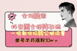 全网独家抖音图文矩阵引流，一招教你玩转公域流量，单号半月涨粉10w+【揭秘】-副业资源站