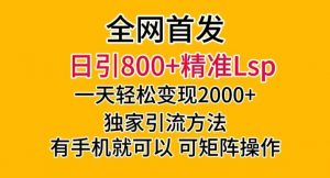 全网首发！日引800+精准老色批，一天变现2000+，独家引流方法，可矩阵操作【揭秘】-副业资源站